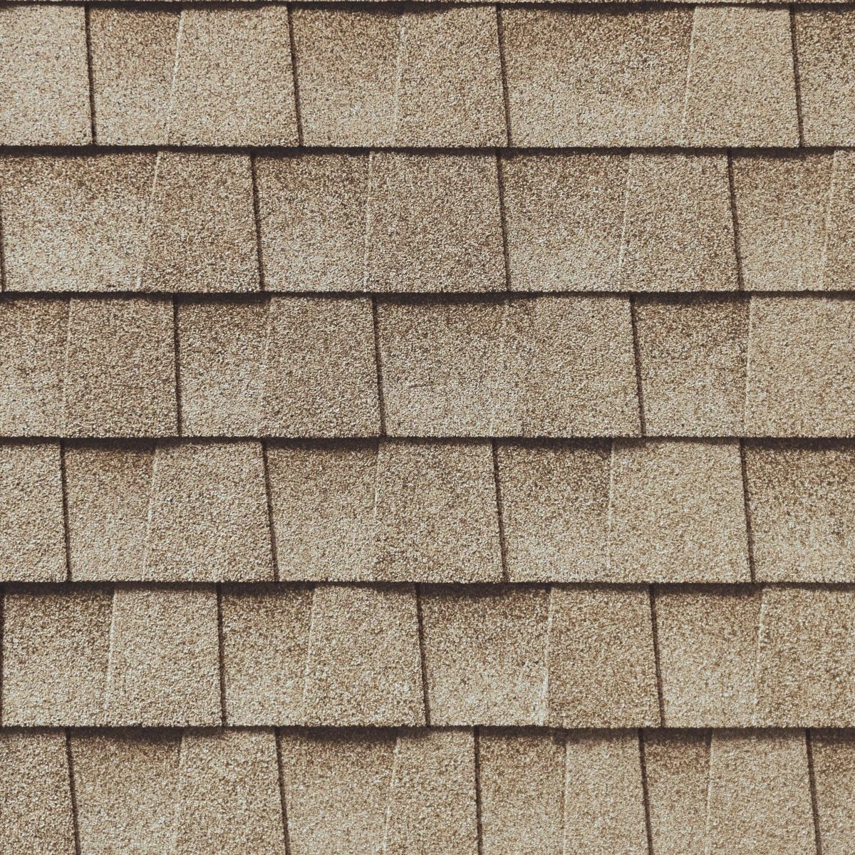 Alexis Roofing Images