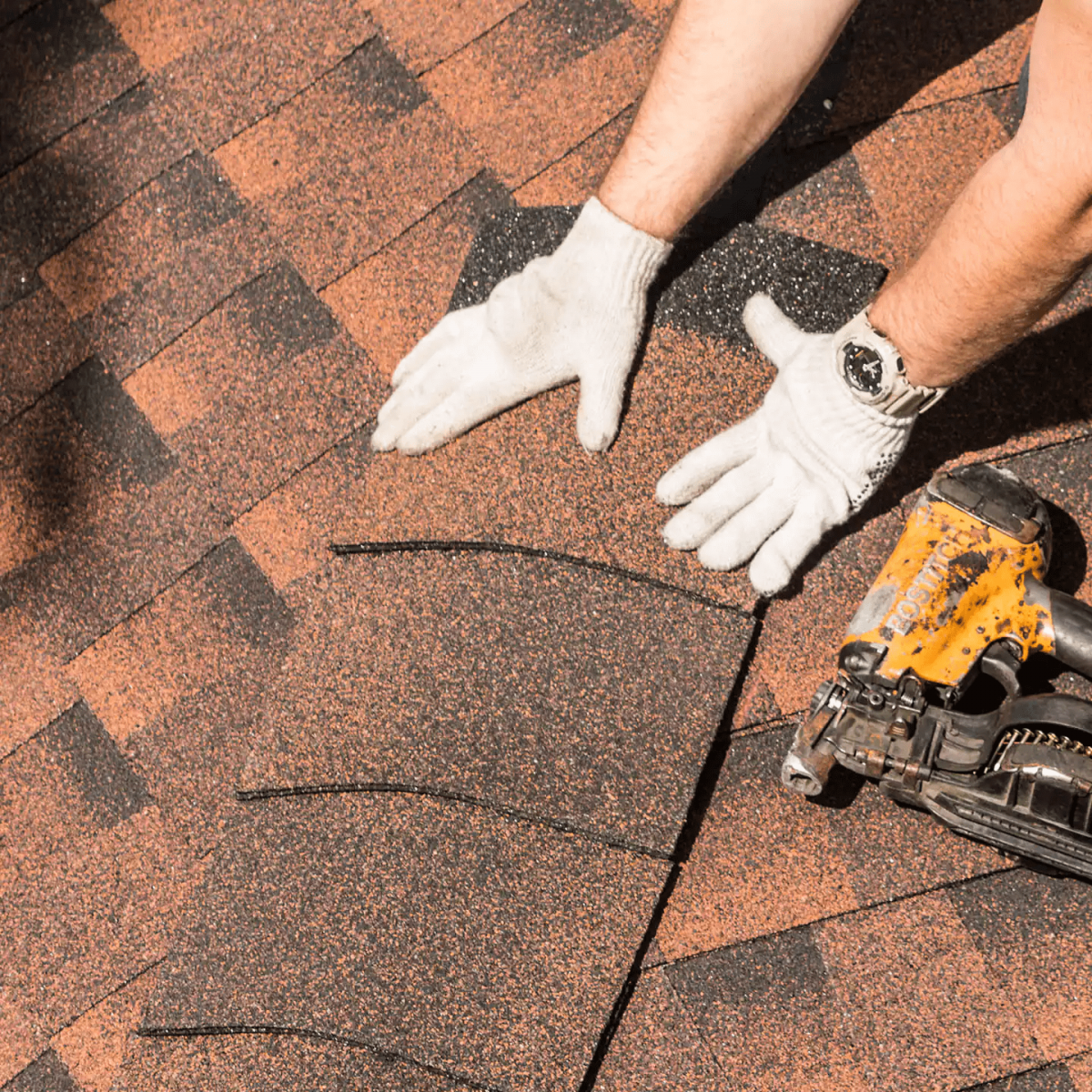 Alexis Roofing Images