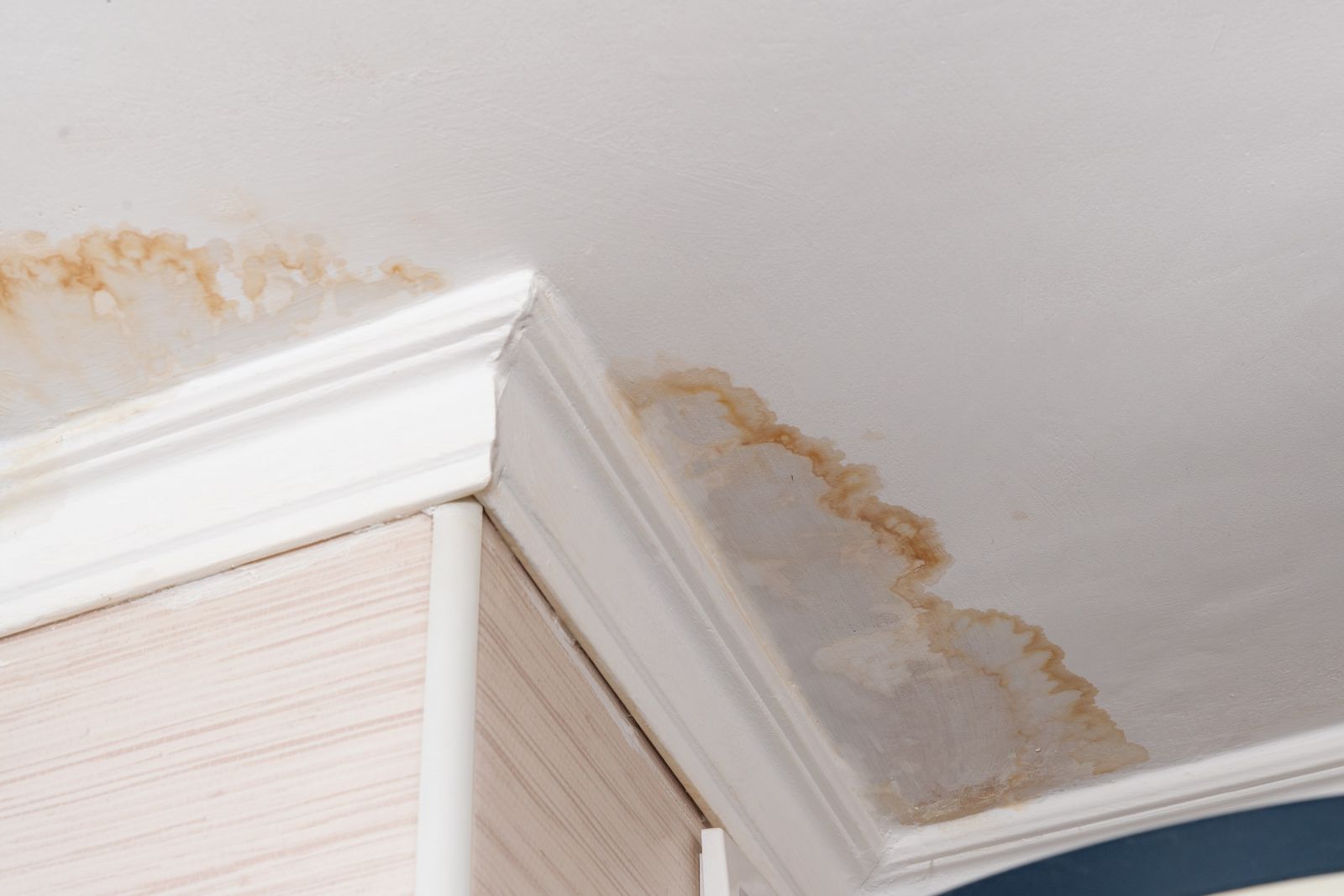 Alexis Roofing Images