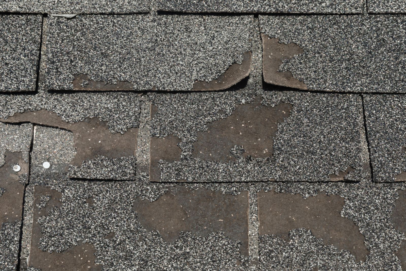 Alexis Roofing Images