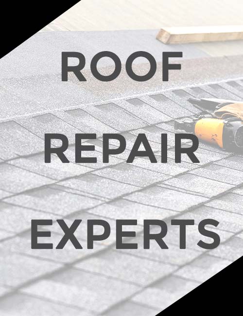 Alexis Roofing Images