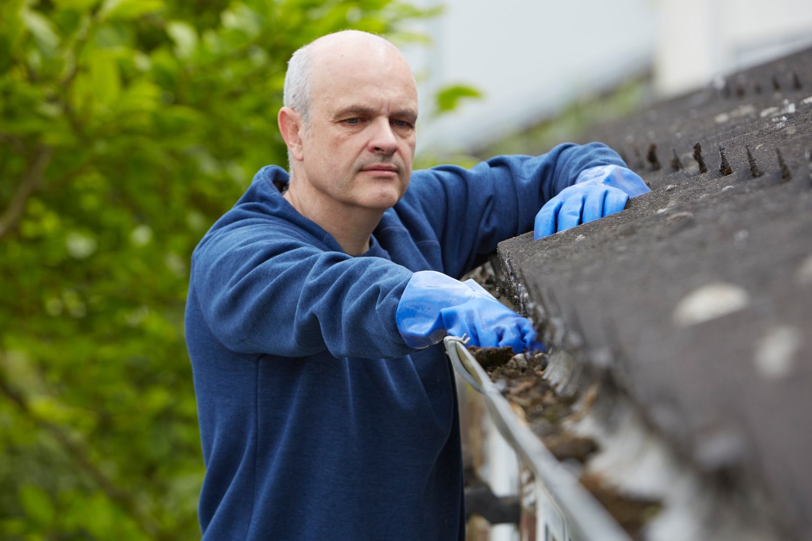 Alexis Roofing Images